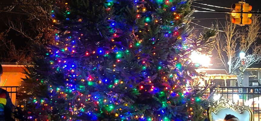 Point Boro Christmas Tree Lighting in Community Park
